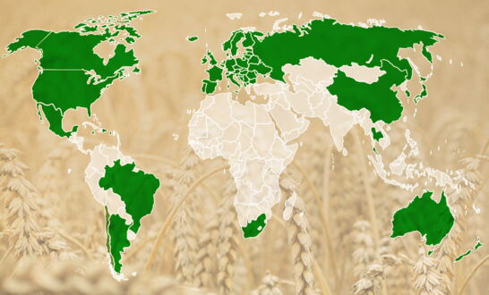 A map of Global Keg countries of operations worldwide